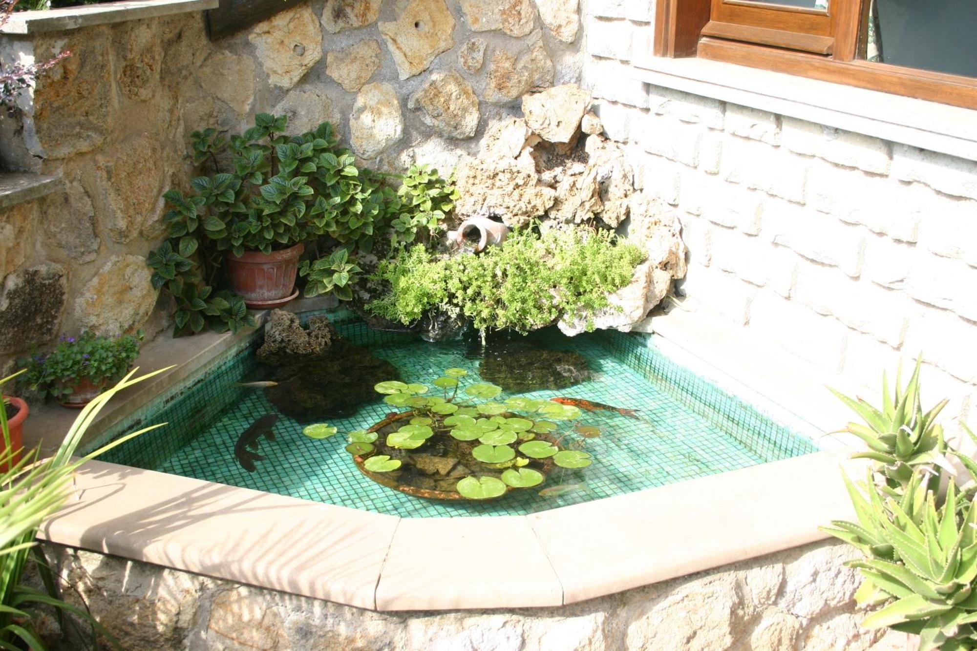 B&B Le Palme Bassano Romano Exterior foto